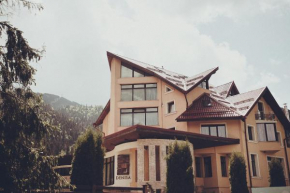 Отель Denisa Boutique Hotel, Брашов